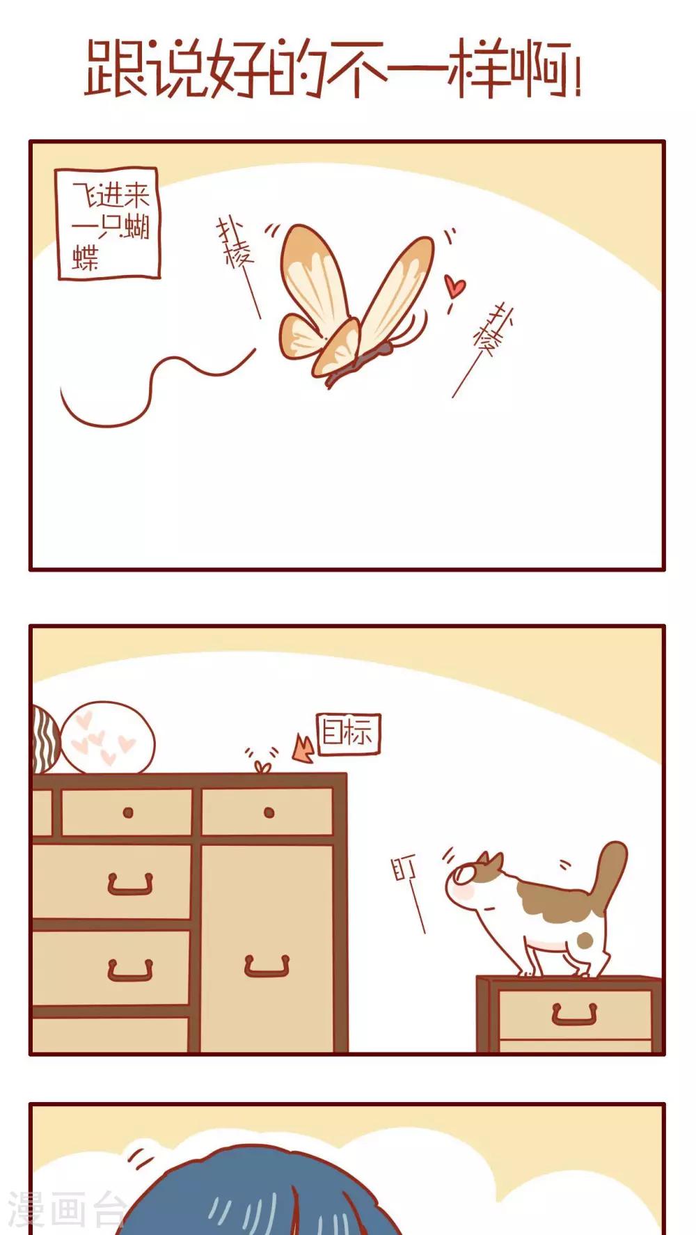 《猫咪甜品屋》第195话 第1页