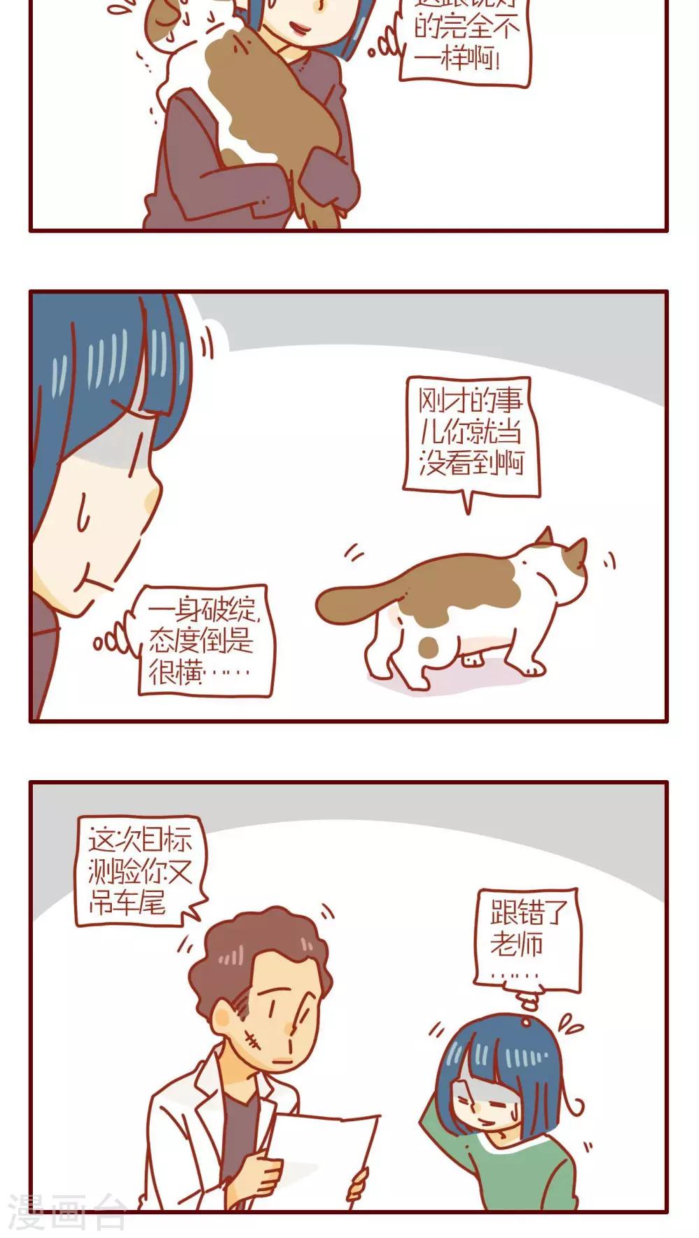 《猫咪甜品屋》第195话 第4页