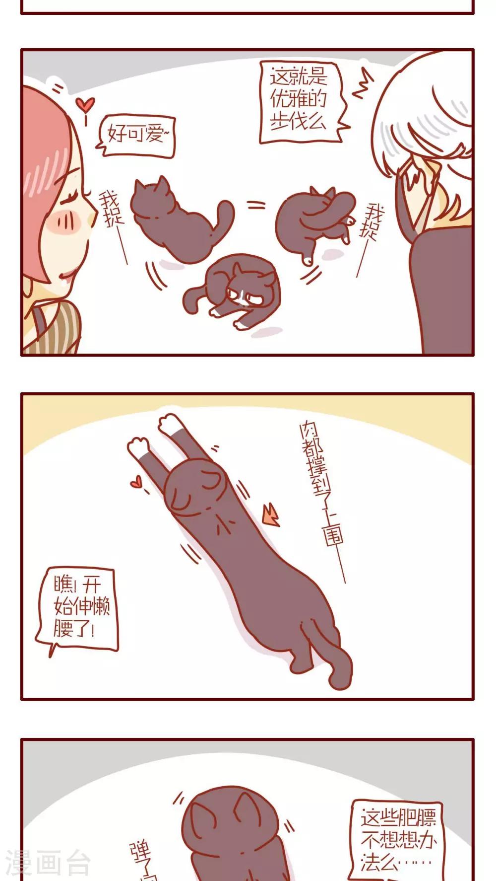 《猫咪甜品屋》第197话 第3页
