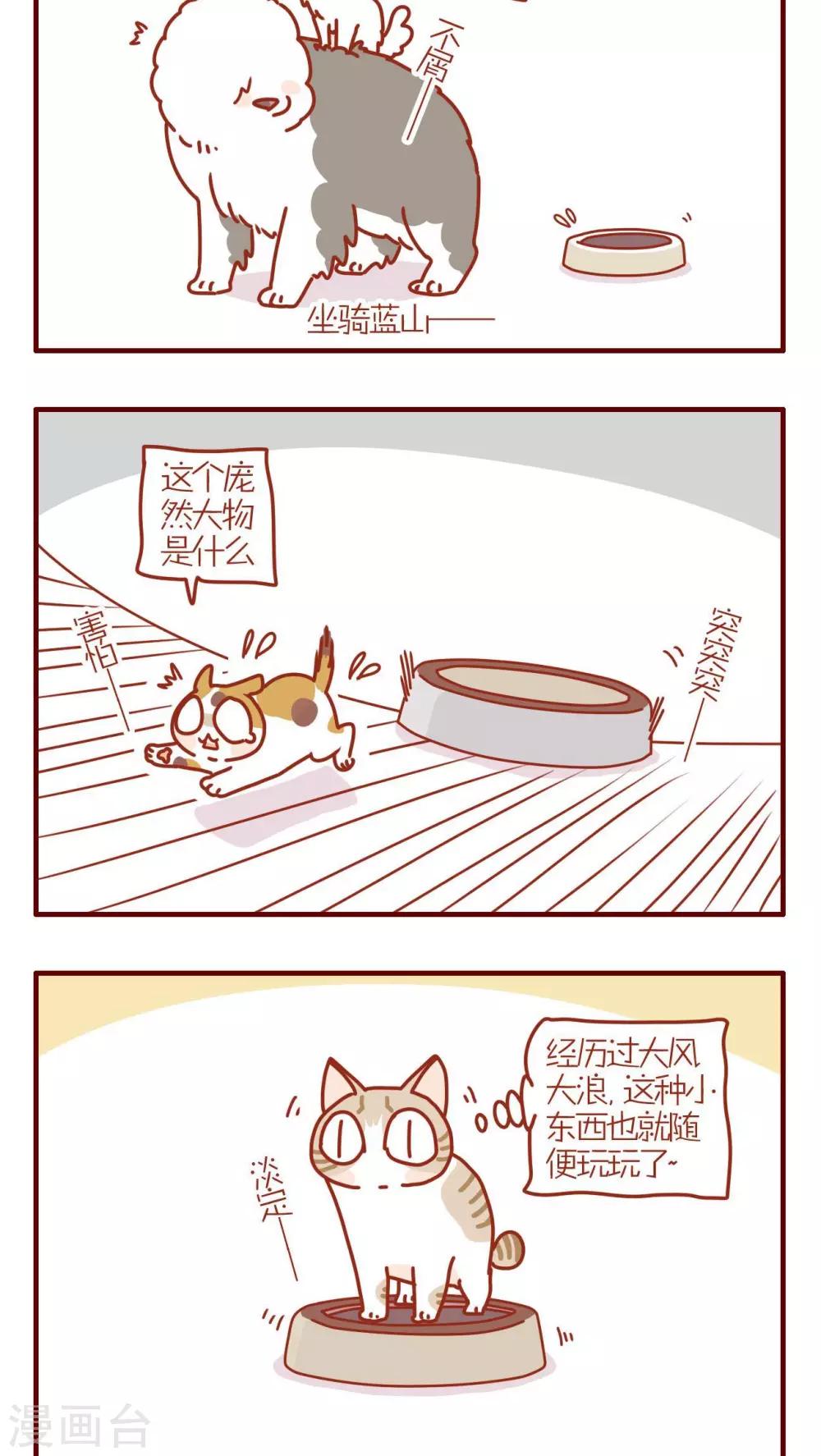 《猫咪甜品屋》第201话 第2页