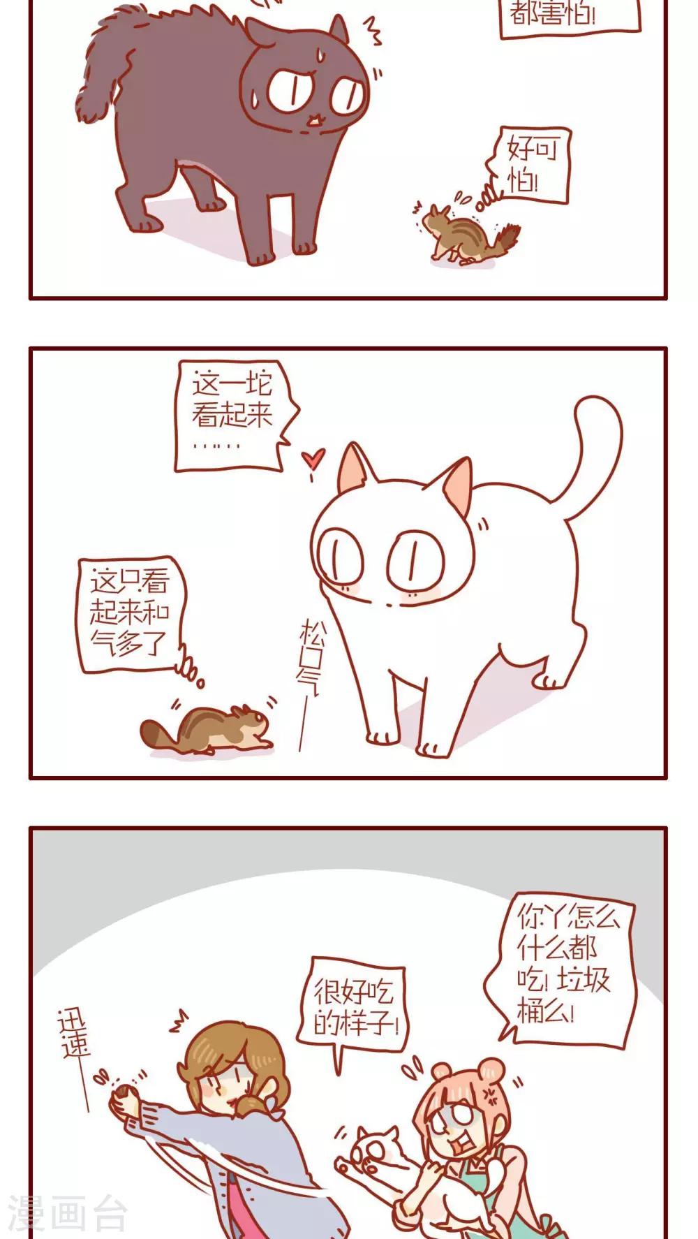 《猫咪甜品屋》第206话 第2页