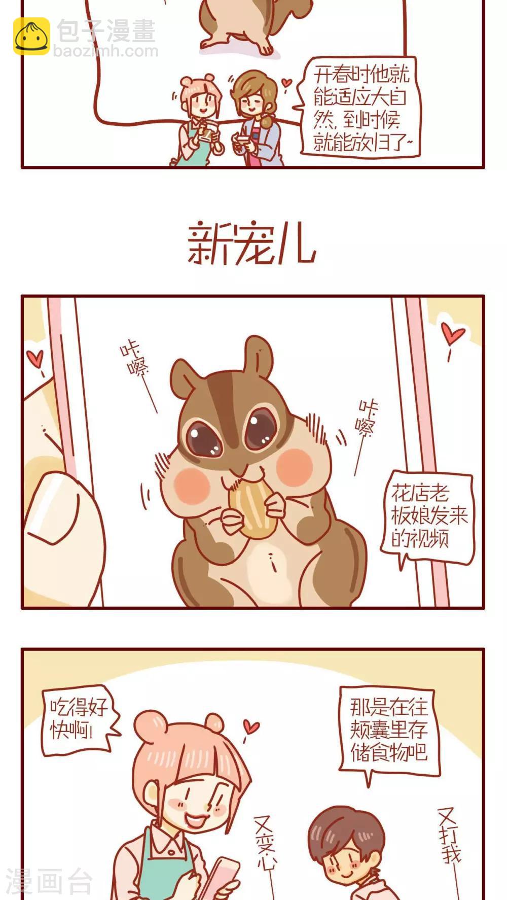 《猫咪甜品屋》第206话 第4页