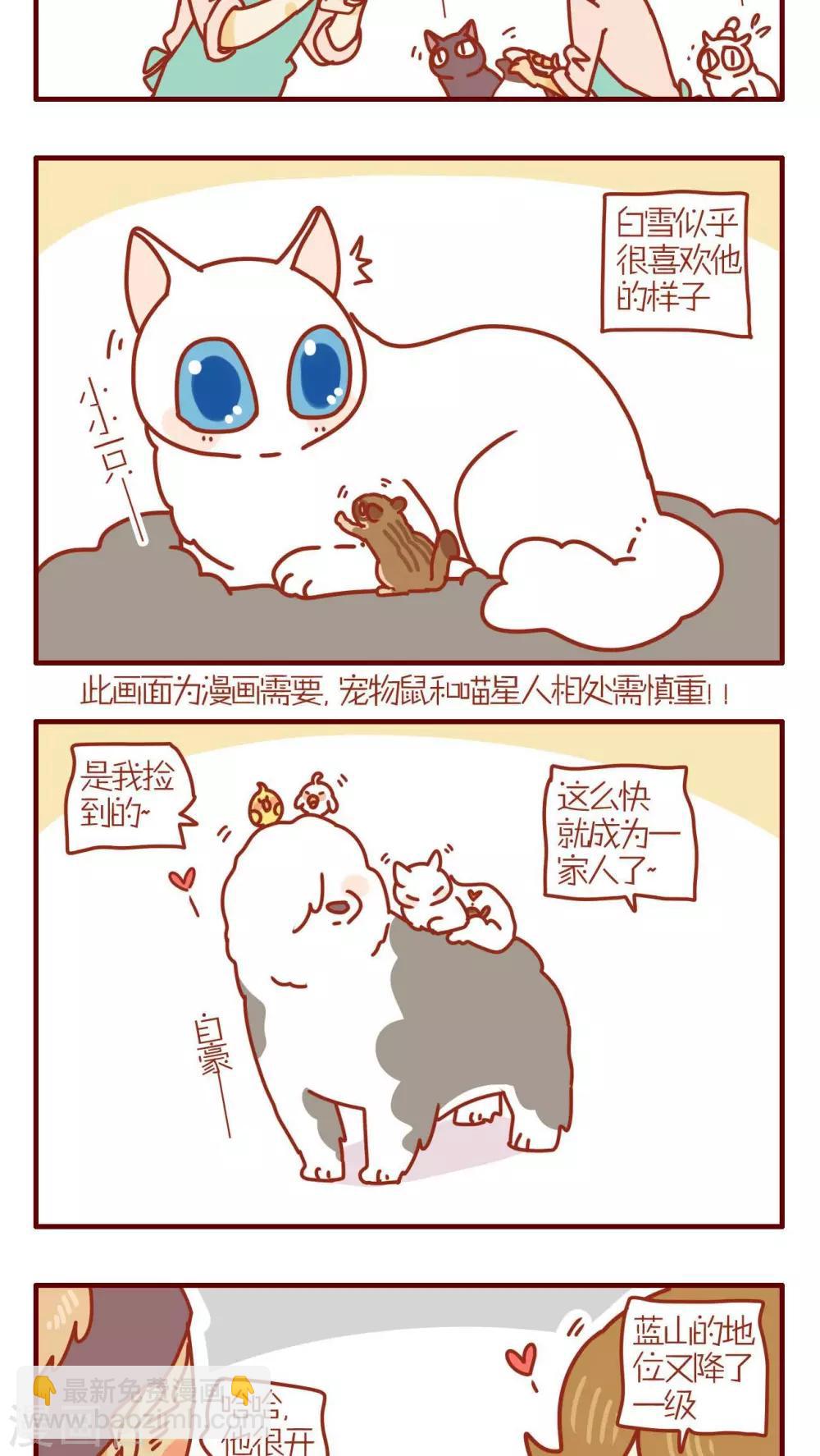 《猫咪甜品屋》第206话 第5页