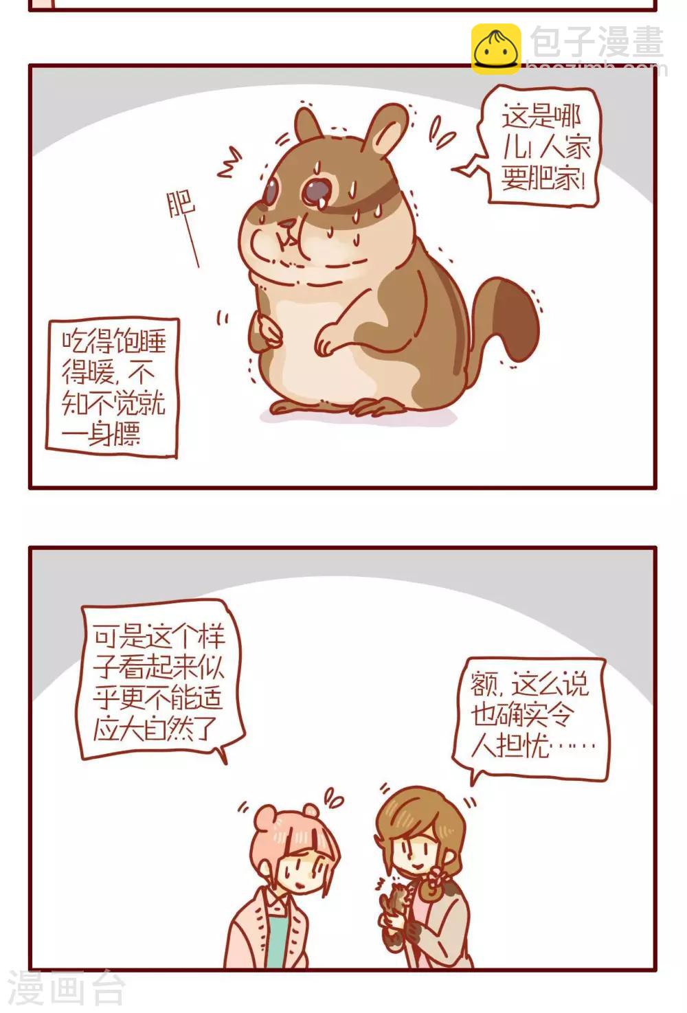 《猫咪甜品屋》第206话 第7页