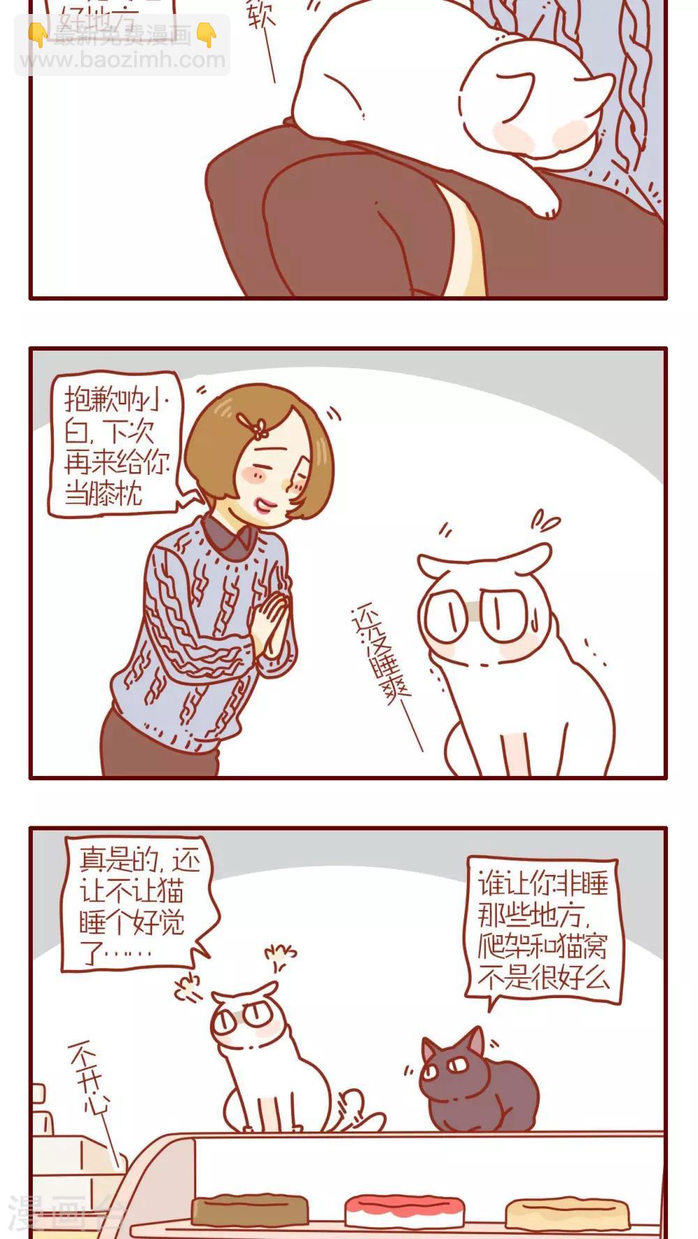 《猫咪甜品屋》第209话 第2页