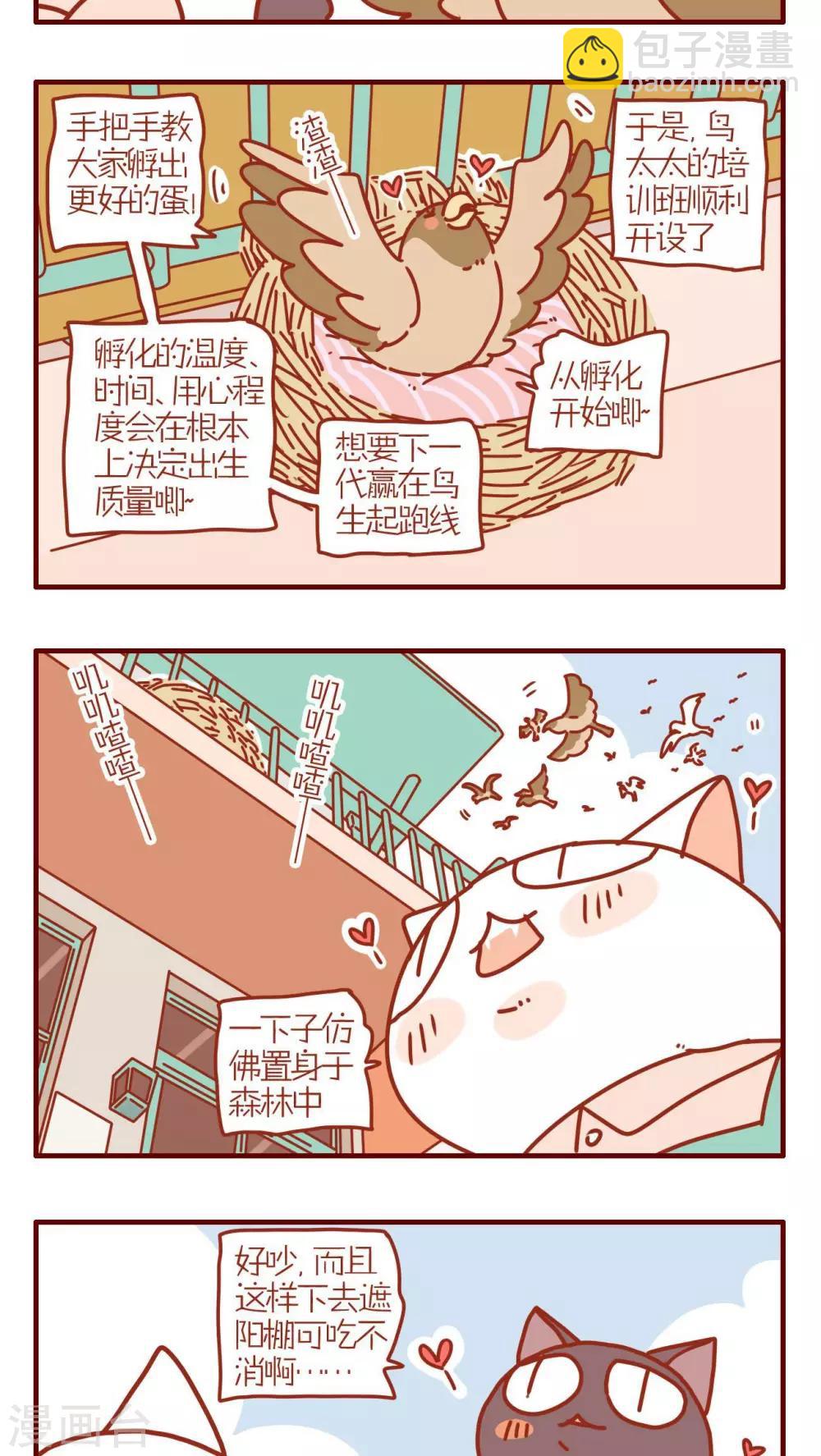 《猫咪甜品屋》第219话 第3页