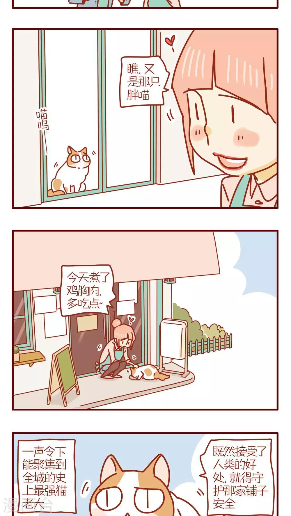 《猫咪甜品屋》第223话 第3页