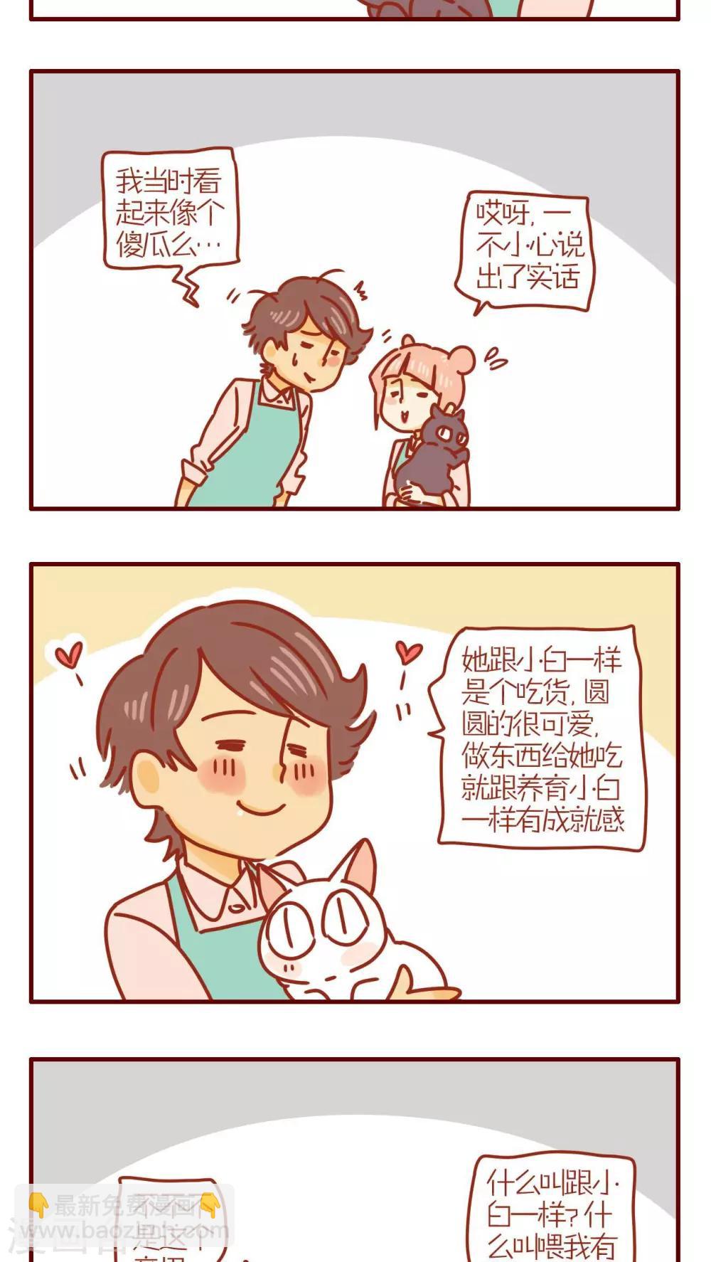 《猫咪甜品屋》第224话 第3页