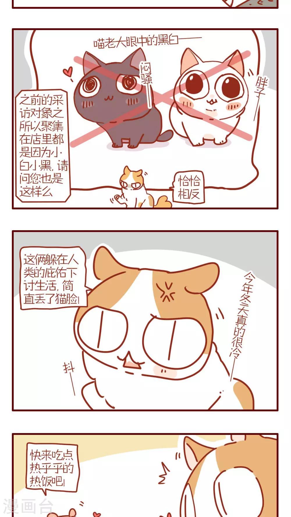 《猫咪甜品屋》第227话 第3页