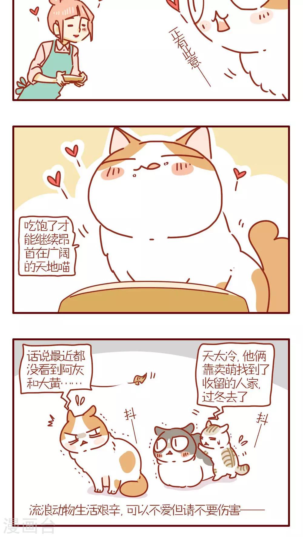 《猫咪甜品屋》第227话 第4页