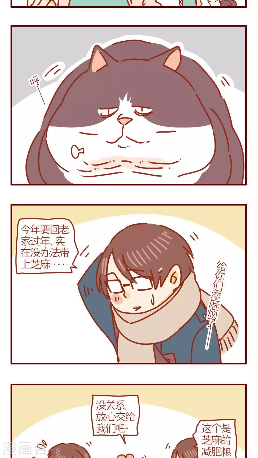 《猫咪甜品屋》第229话 第3页