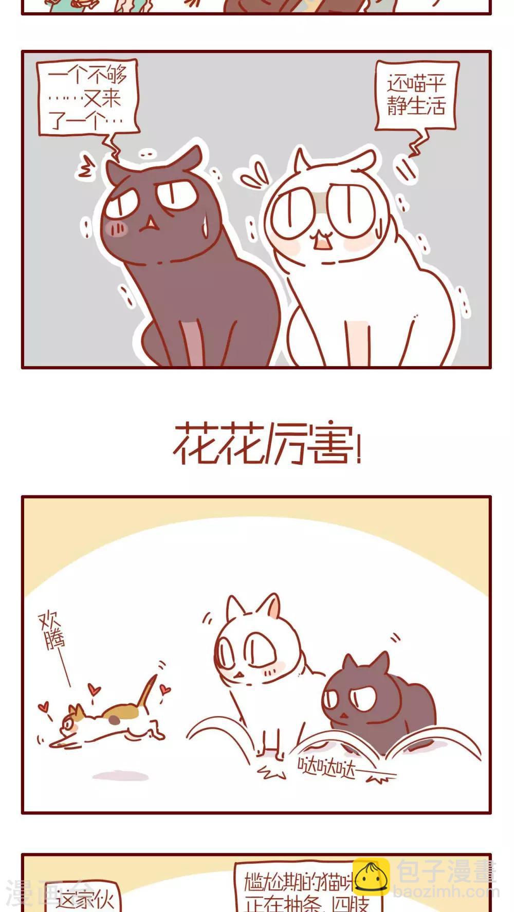 《猫咪甜品屋》第231话 第3页