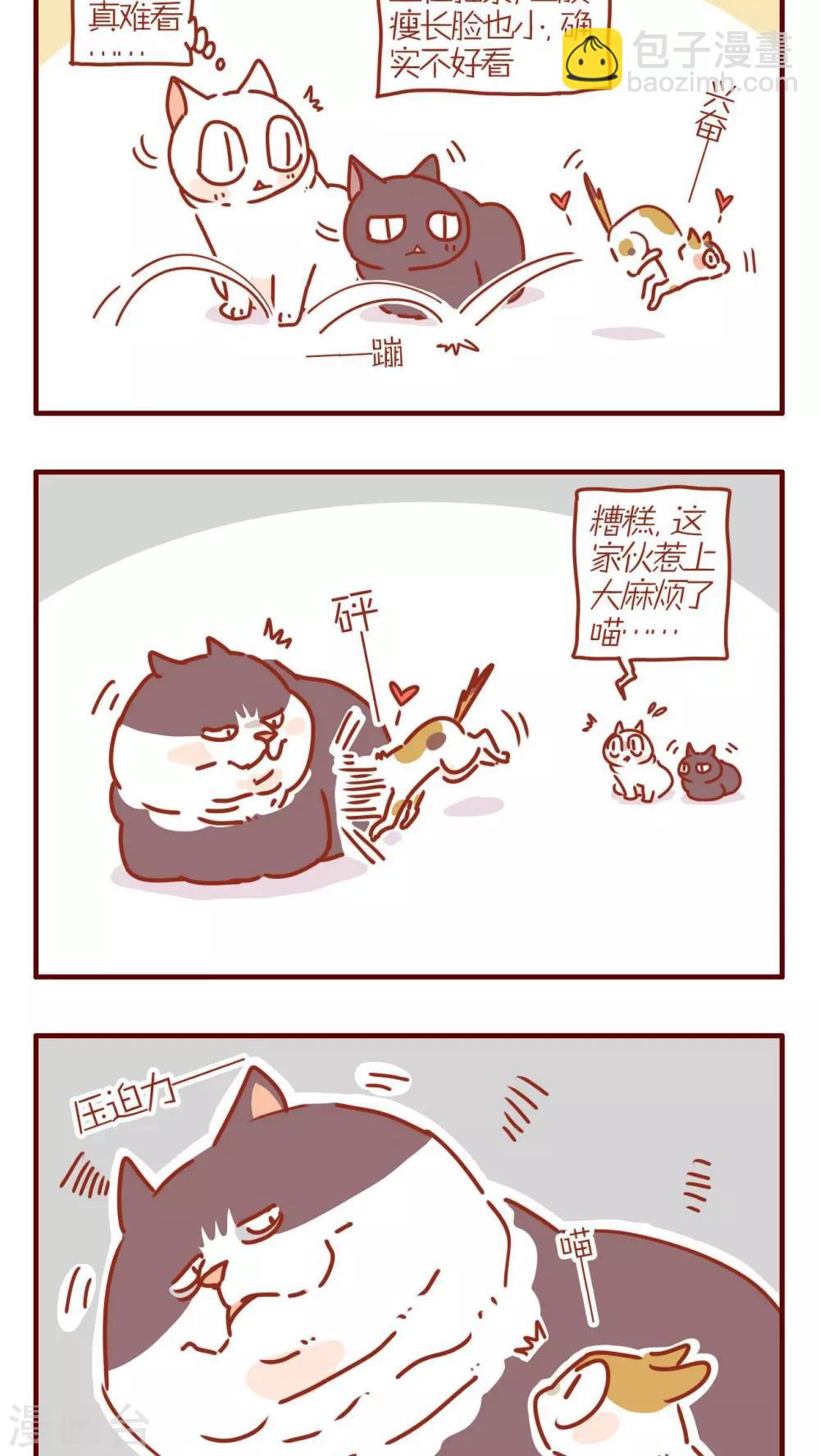 《猫咪甜品屋》第231话 第4页