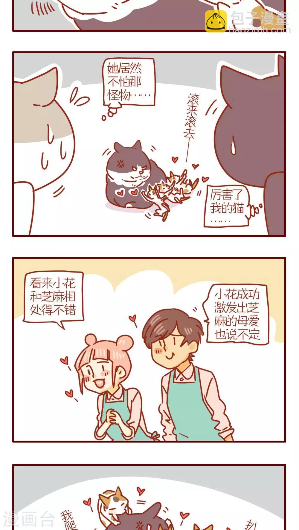 《猫咪甜品屋》第231话 第5页