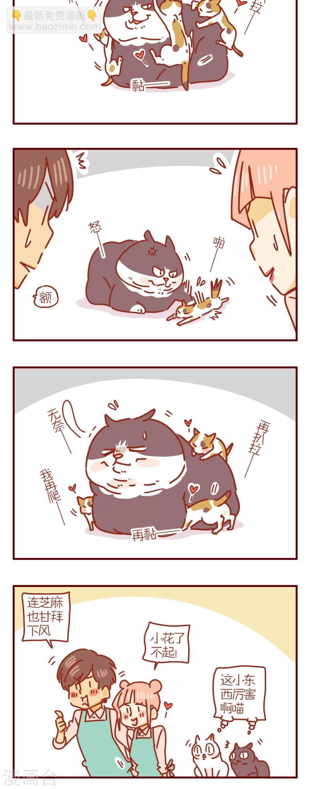 《猫咪甜品屋》第231话 第6页