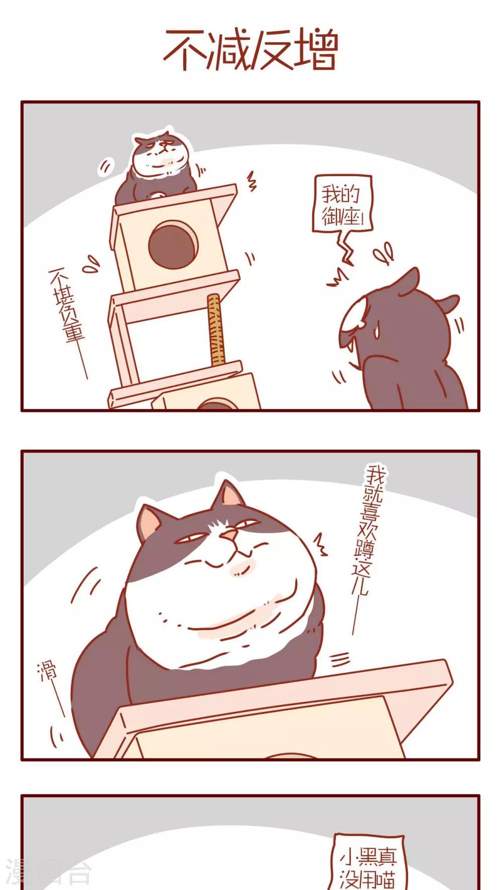 《猫咪甜品屋》第230话 第1页