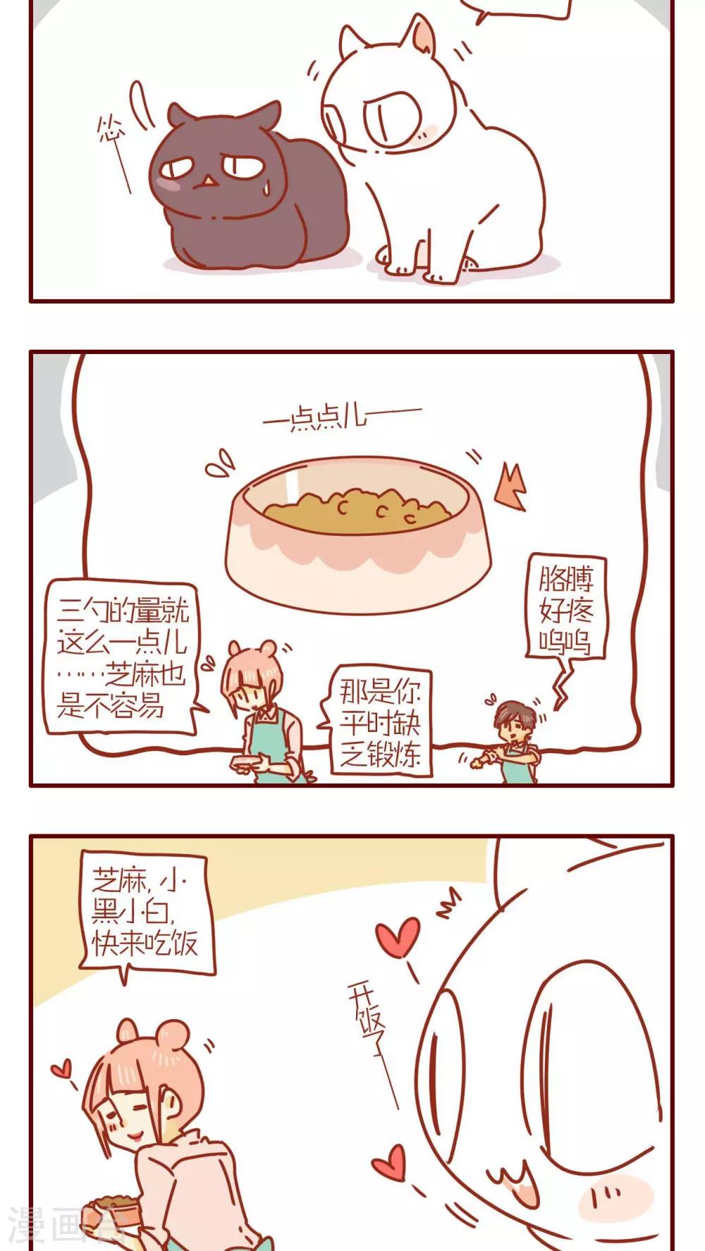 《猫咪甜品屋》第230话 第2页