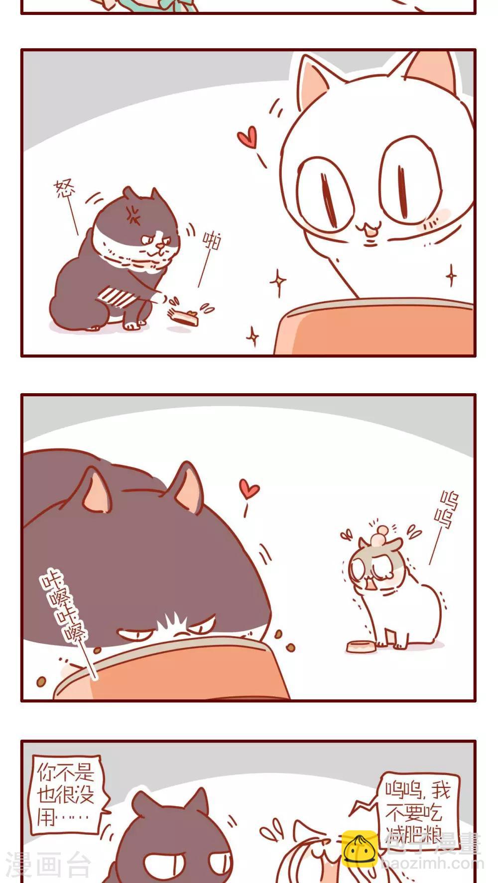 《猫咪甜品屋》第230话 第3页