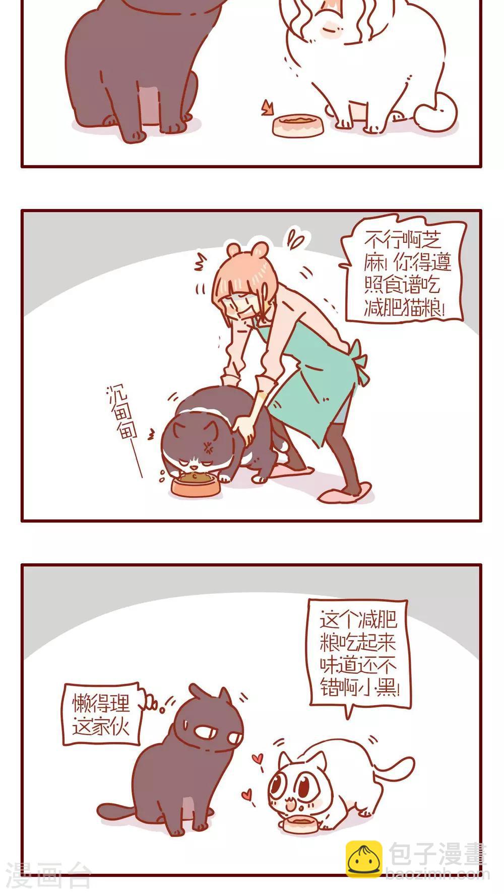 《猫咪甜品屋》第230话 第4页