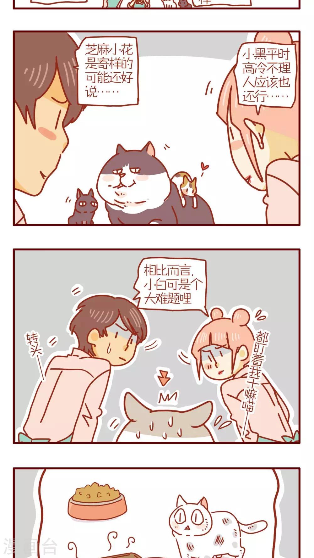 《猫咪甜品屋》第233话 第3页