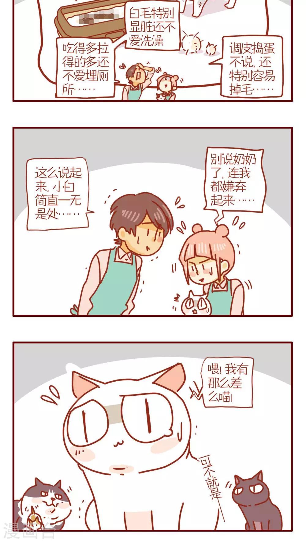 《猫咪甜品屋》第233话 第4页