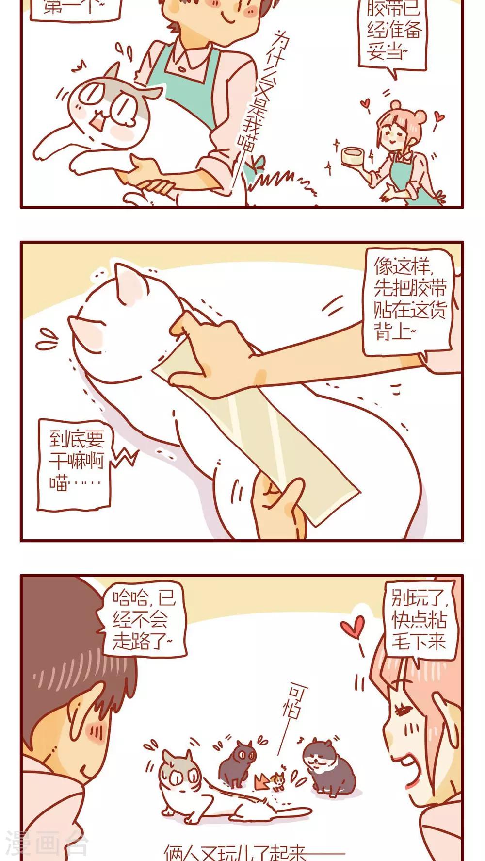 《猫咪甜品屋》第234话 第2页