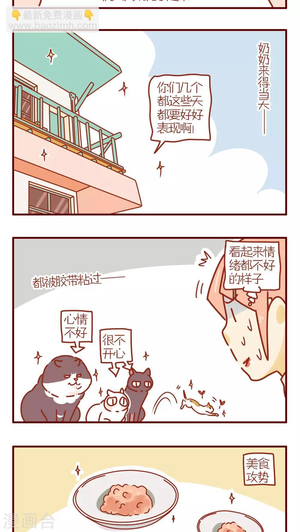 《猫咪甜品屋》第234话 第3页