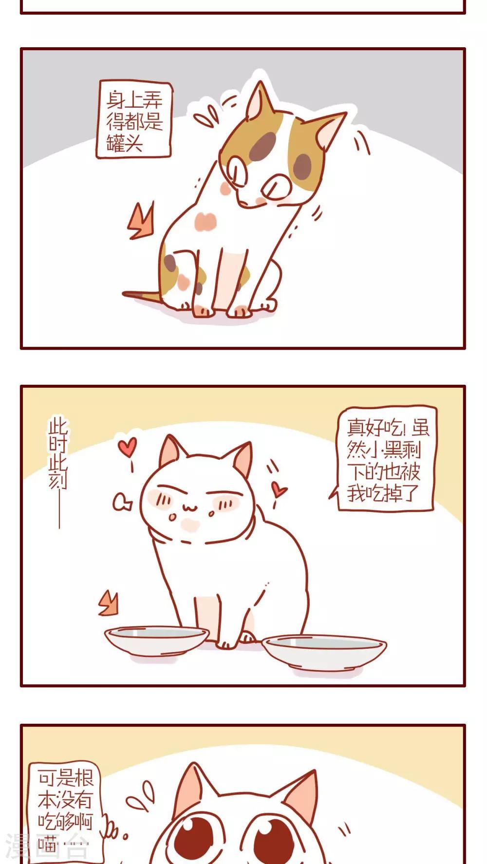 《猫咪甜品屋》第235话 第3页