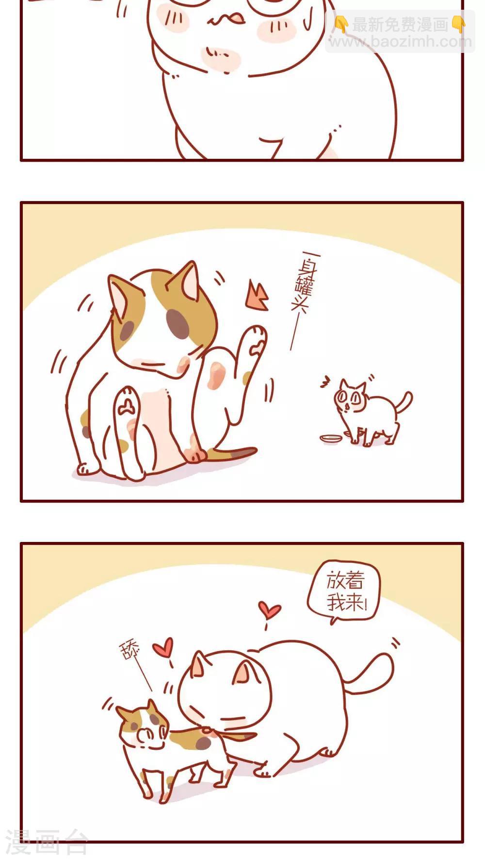 《猫咪甜品屋》第235话 第4页