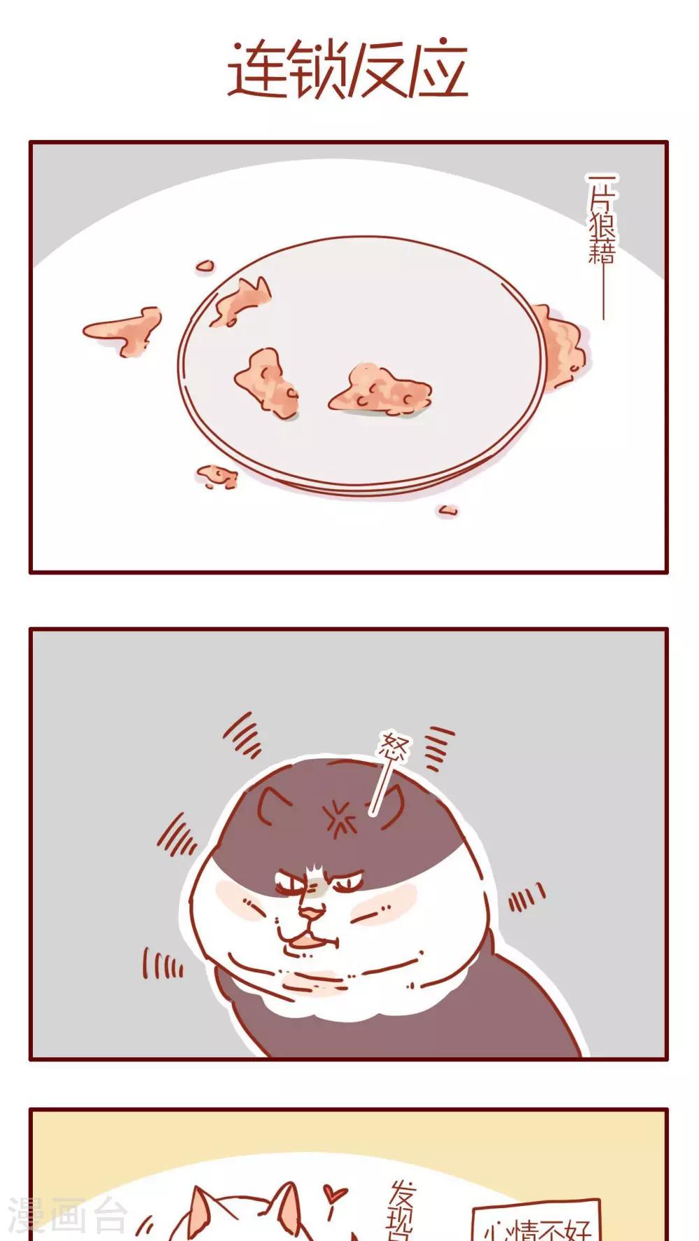 《猫咪甜品屋》第236话 第1页