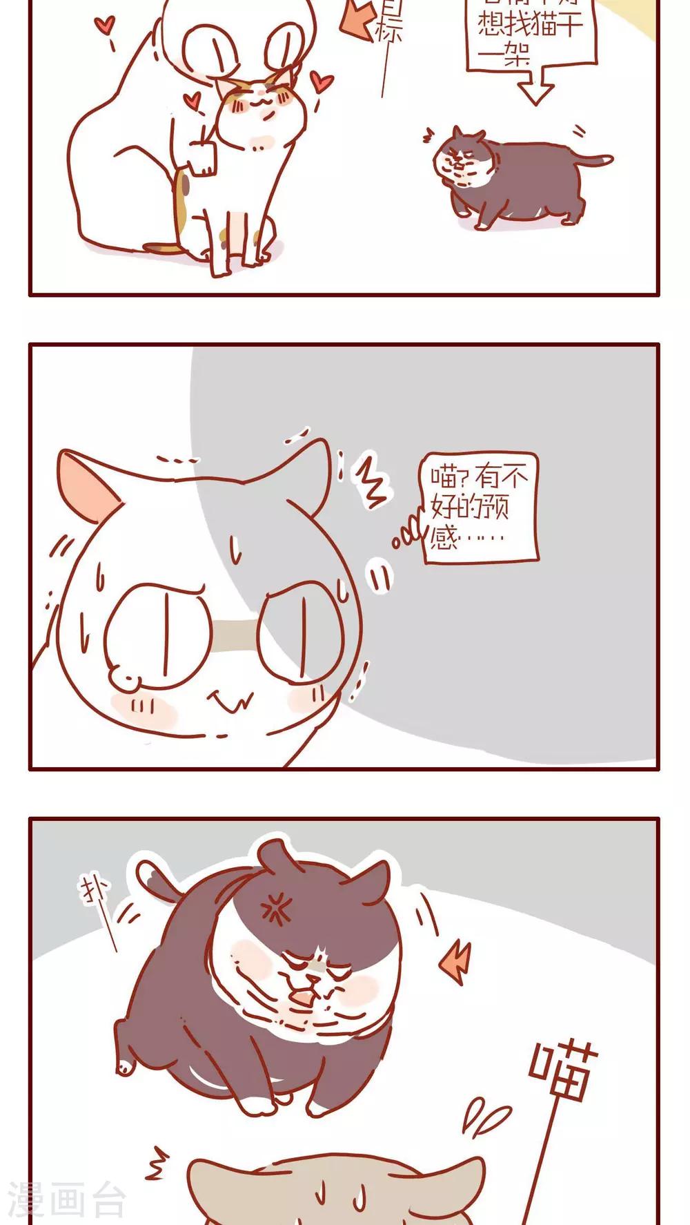 《猫咪甜品屋》第236话 第2页