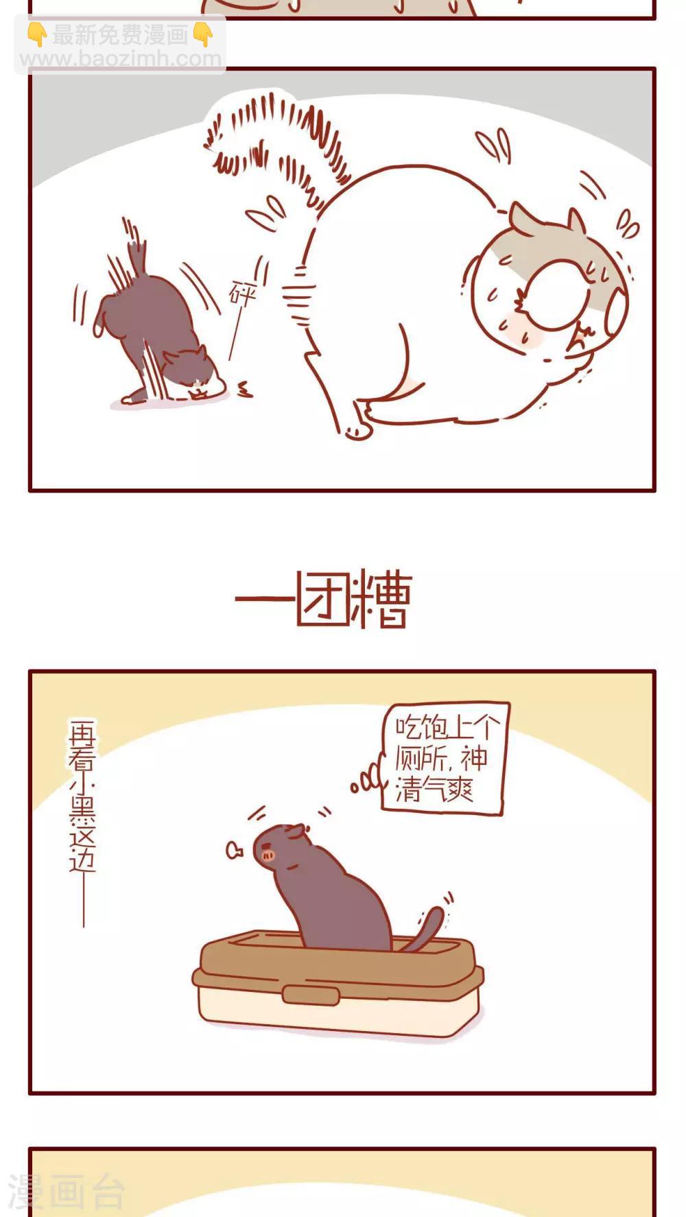《猫咪甜品屋》第236话 第3页