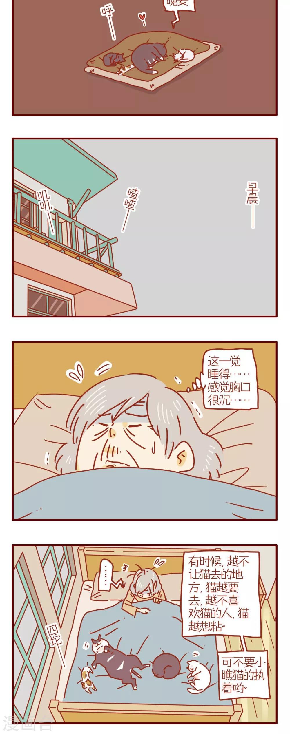 《猫咪甜品屋》第240话 第6页