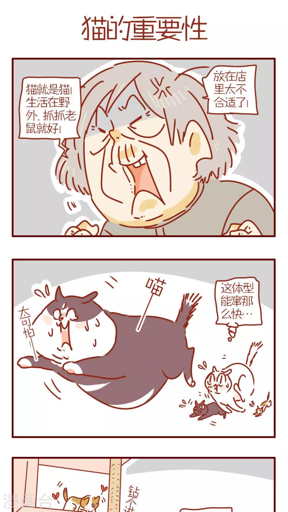 《猫咪甜品屋》第238话 第1页