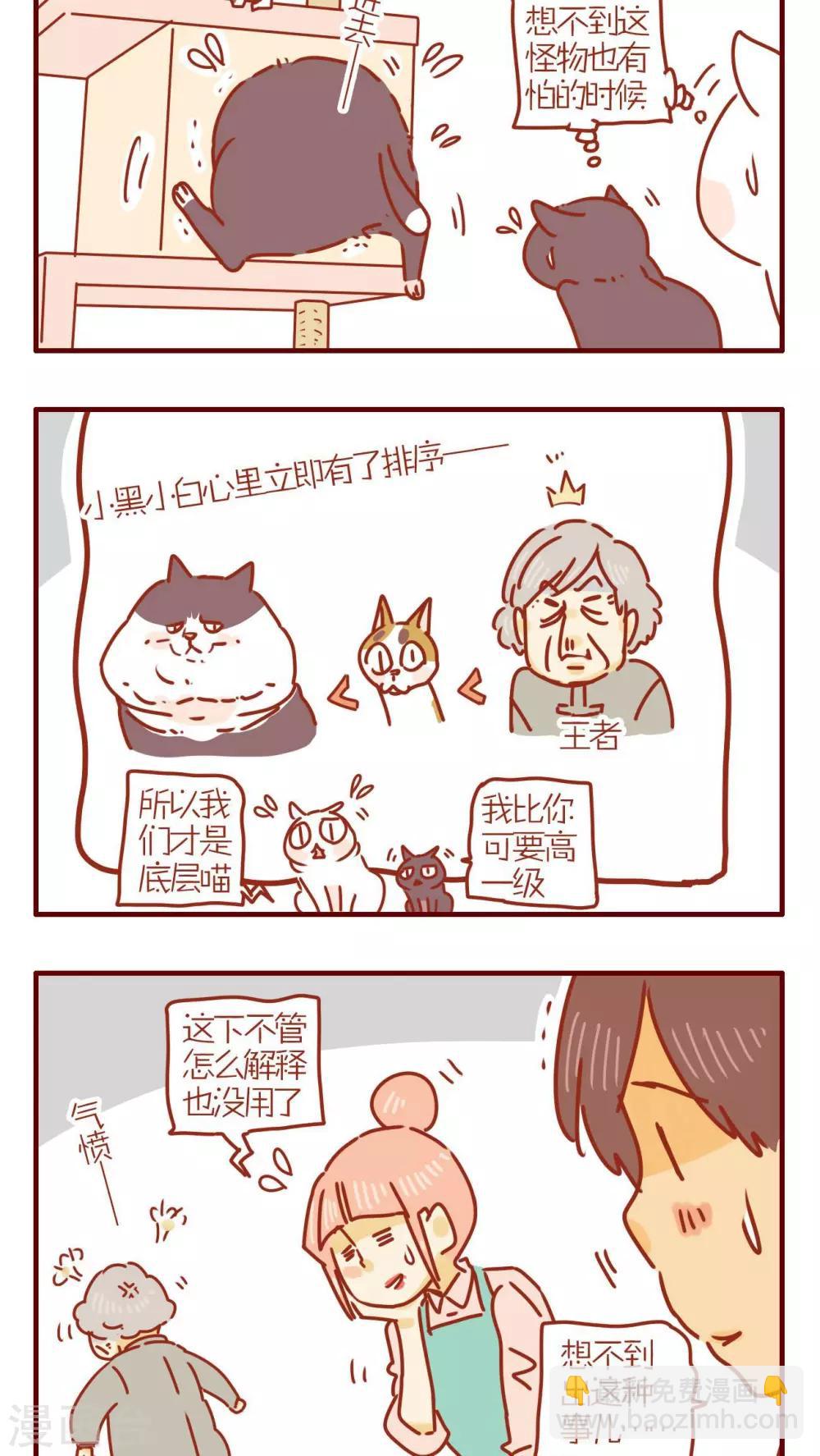《猫咪甜品屋》第238话 第2页
