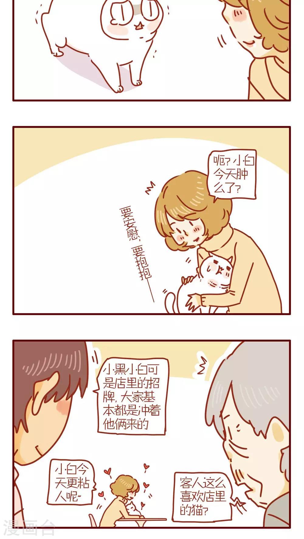 《猫咪甜品屋》第238话 第4页