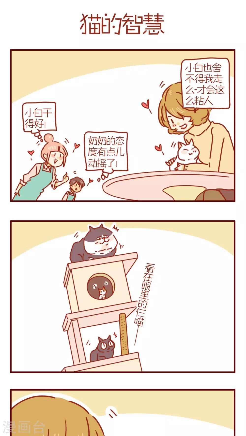《猫咪甜品屋》第239话 第1页