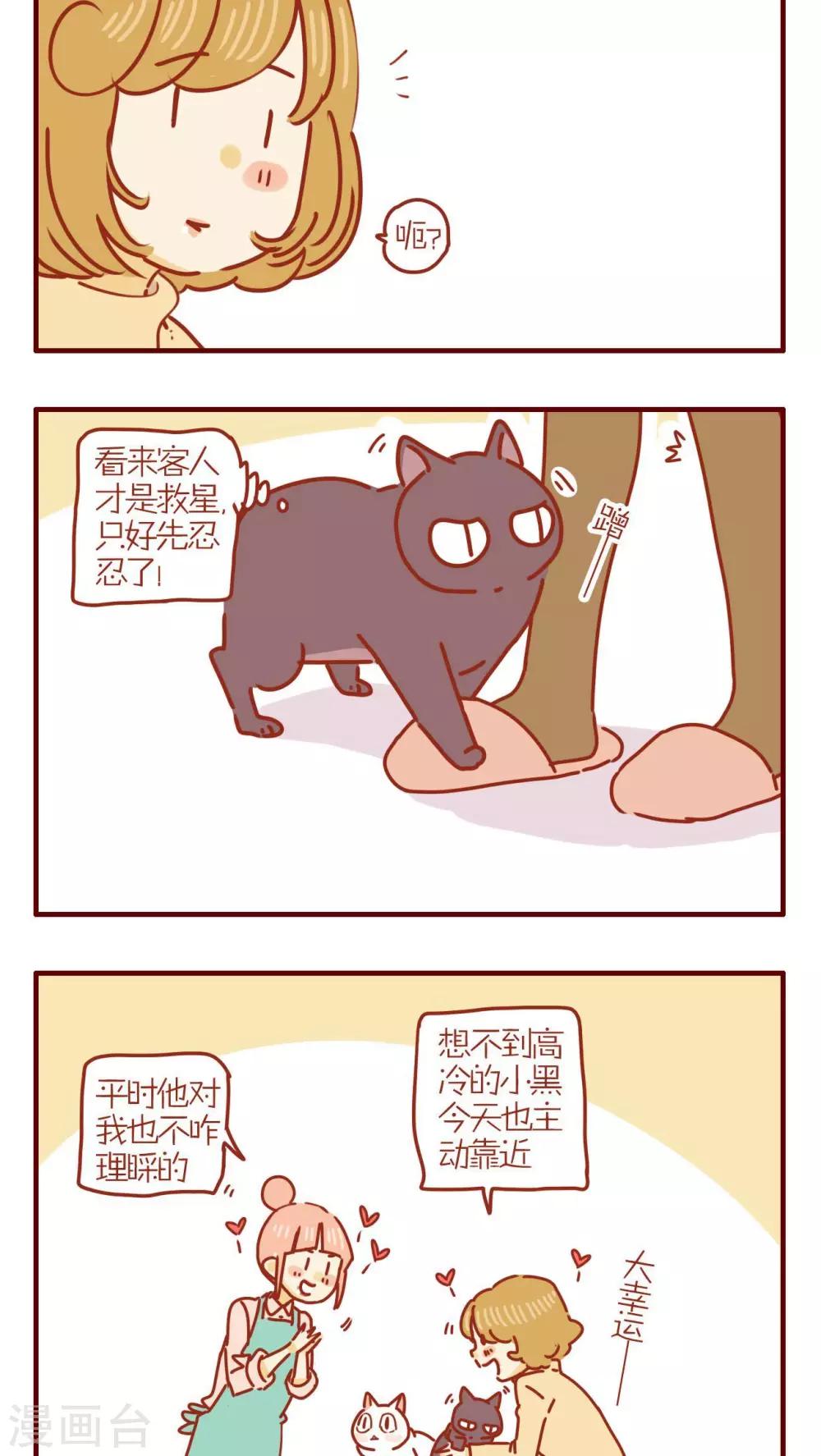 《猫咪甜品屋》第239话 第2页