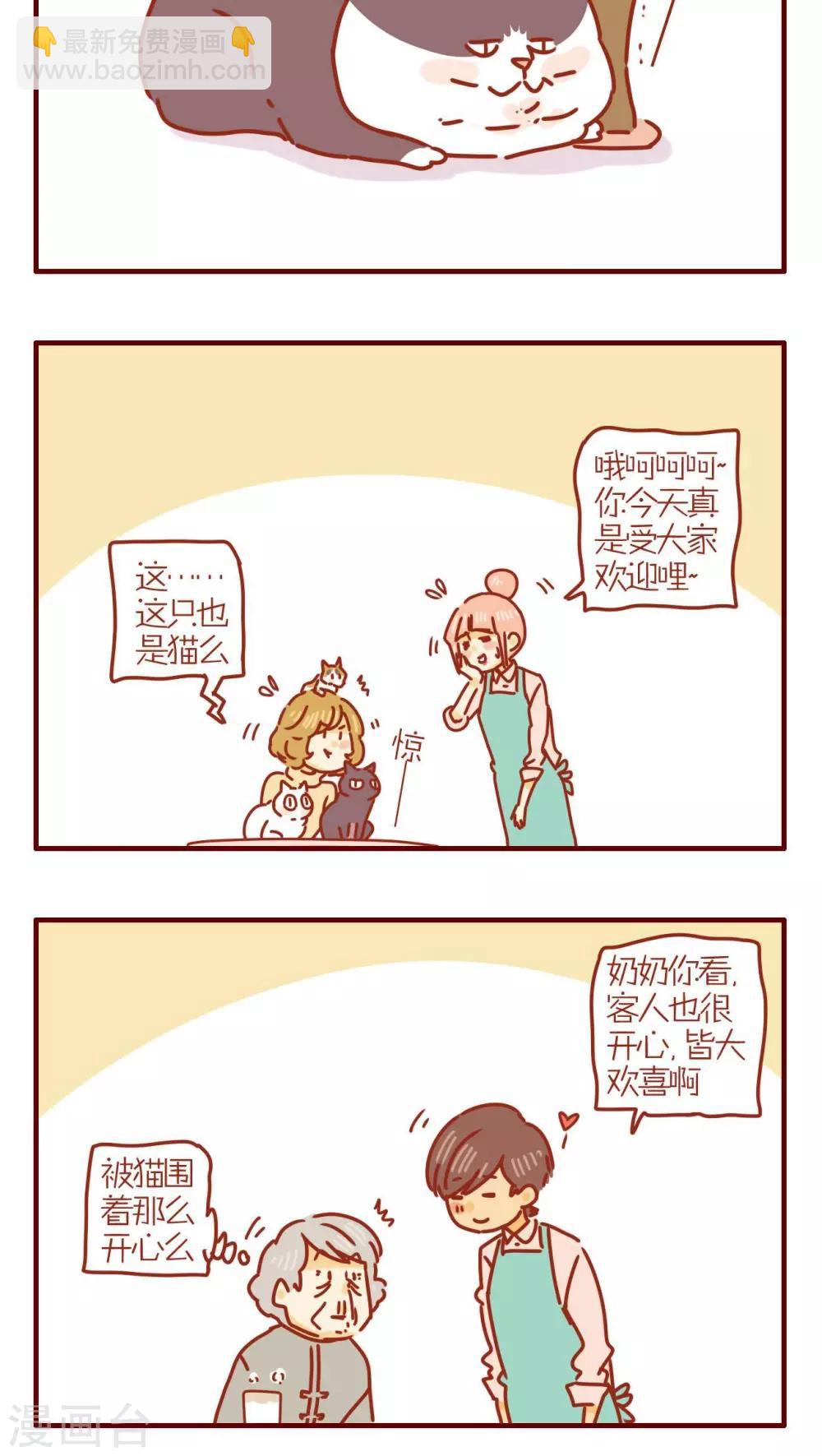 《猫咪甜品屋》第239话 第4页