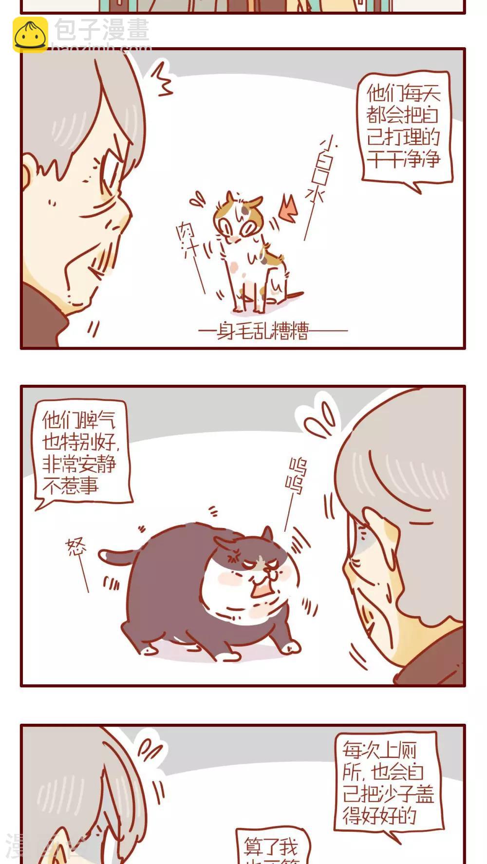 《猫咪甜品屋》第237话 第3页