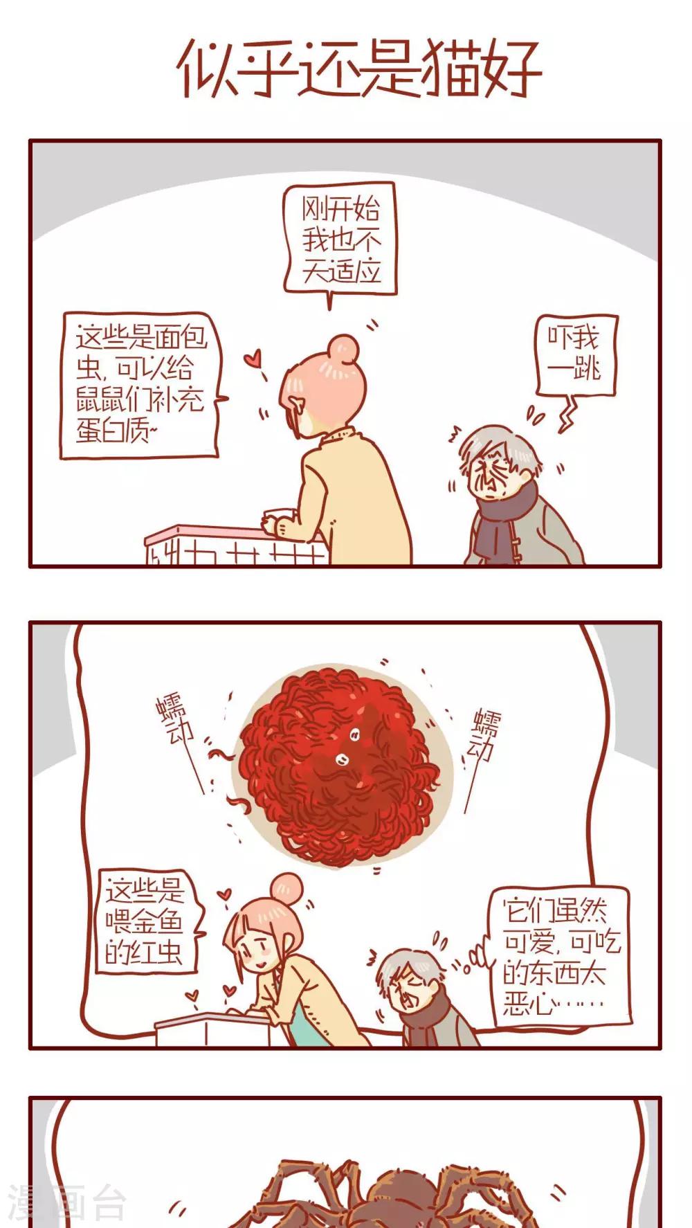 《猫咪甜品屋》第244话 第1页