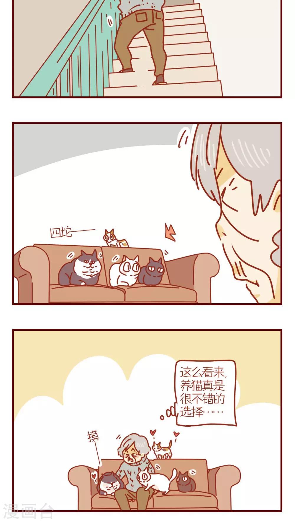 《猫咪甜品屋》第244话 第4页