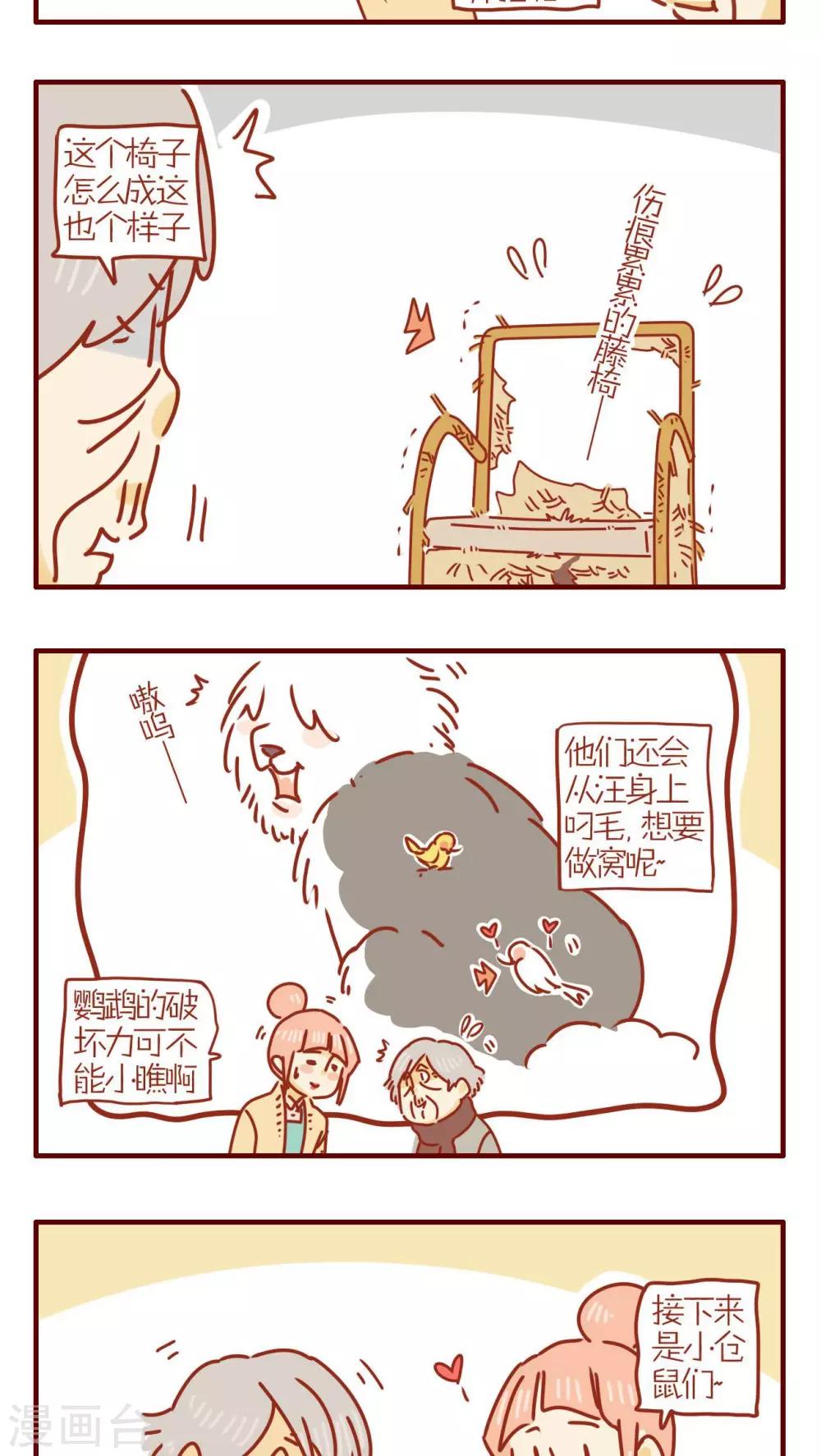 《猫咪甜品屋》第243话 第3页