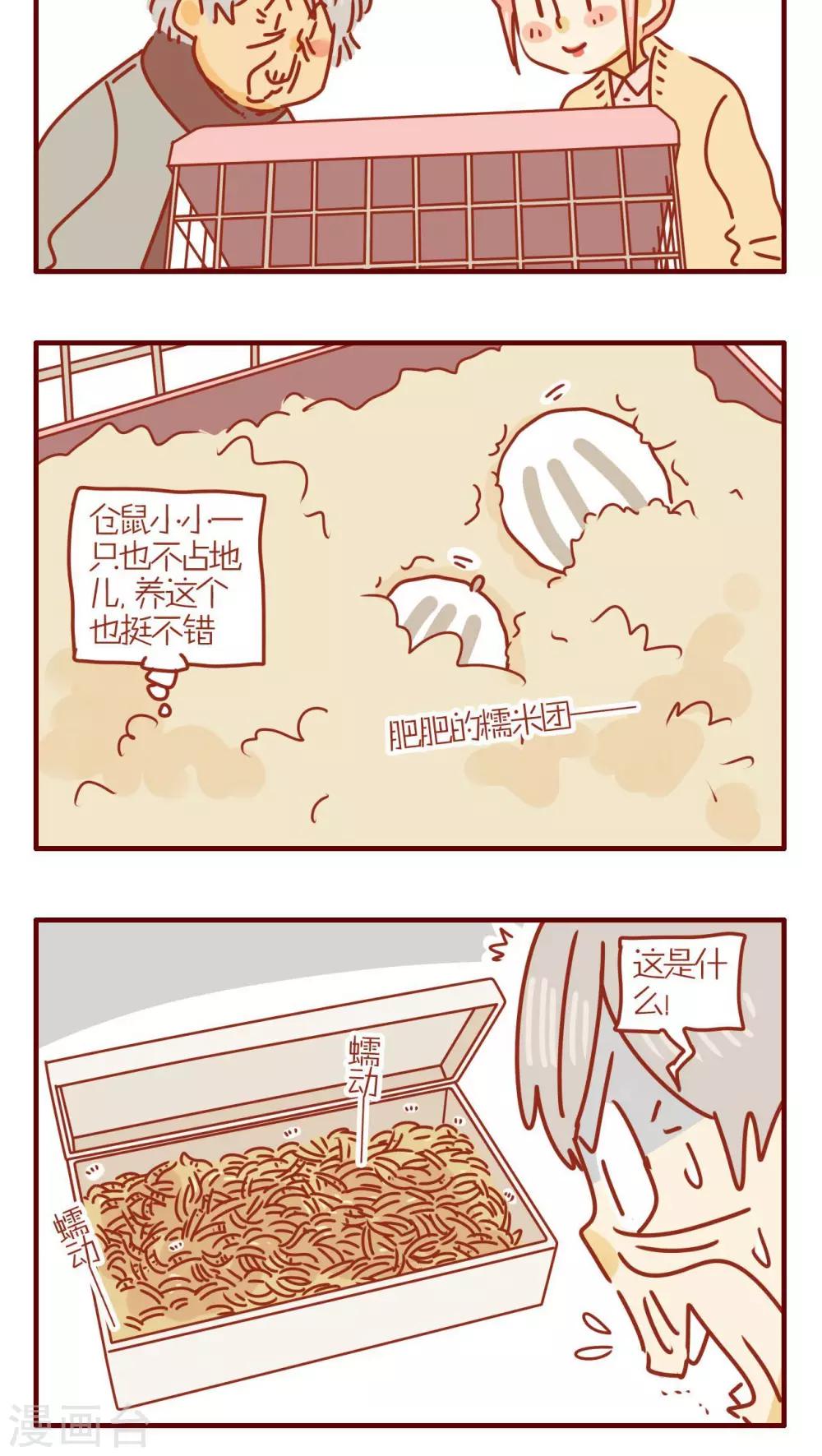 《猫咪甜品屋》第243话 第4页