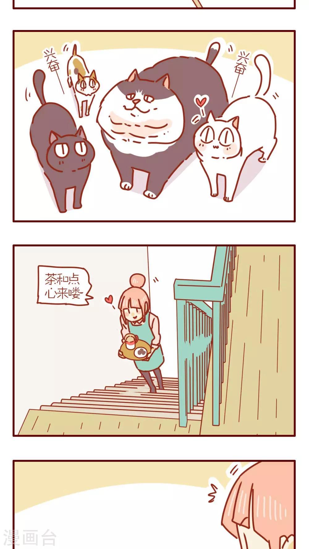 《猫咪甜品屋》第242话 第3页