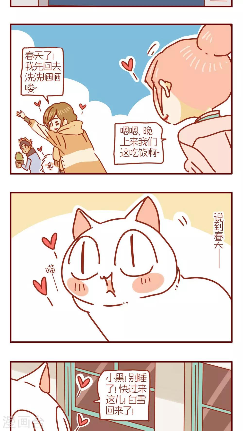 《猫咪甜品屋》第247话 第3页