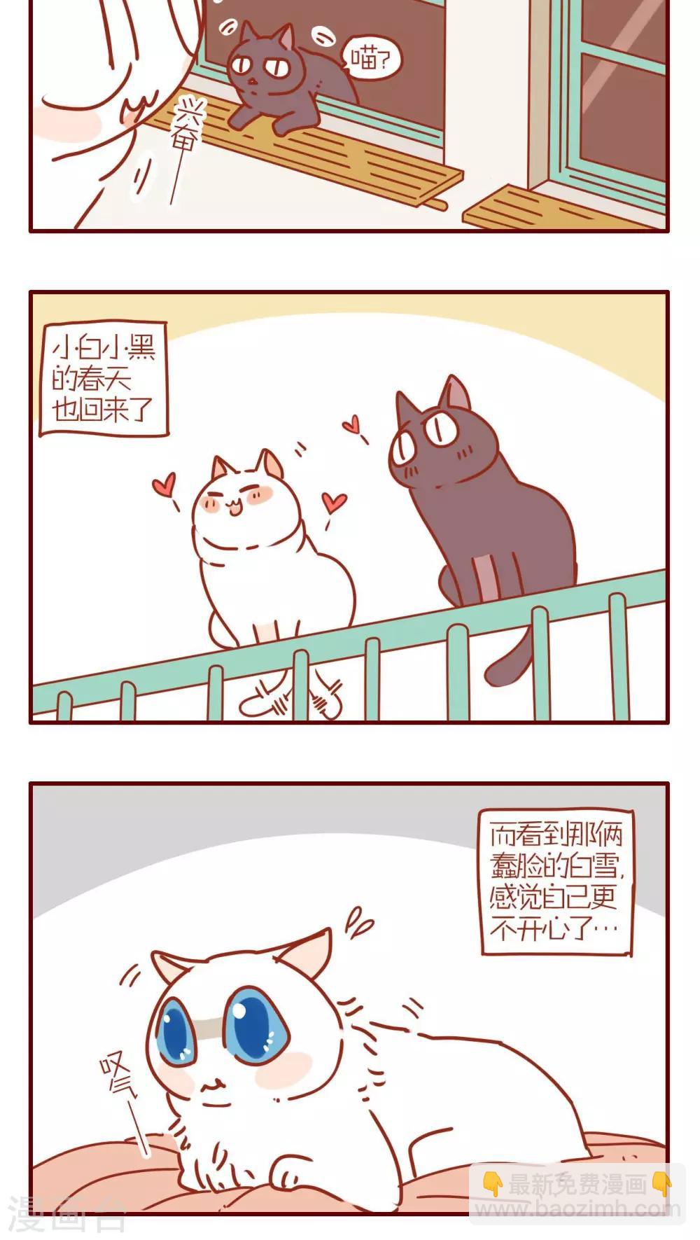 《猫咪甜品屋》第247话 第4页