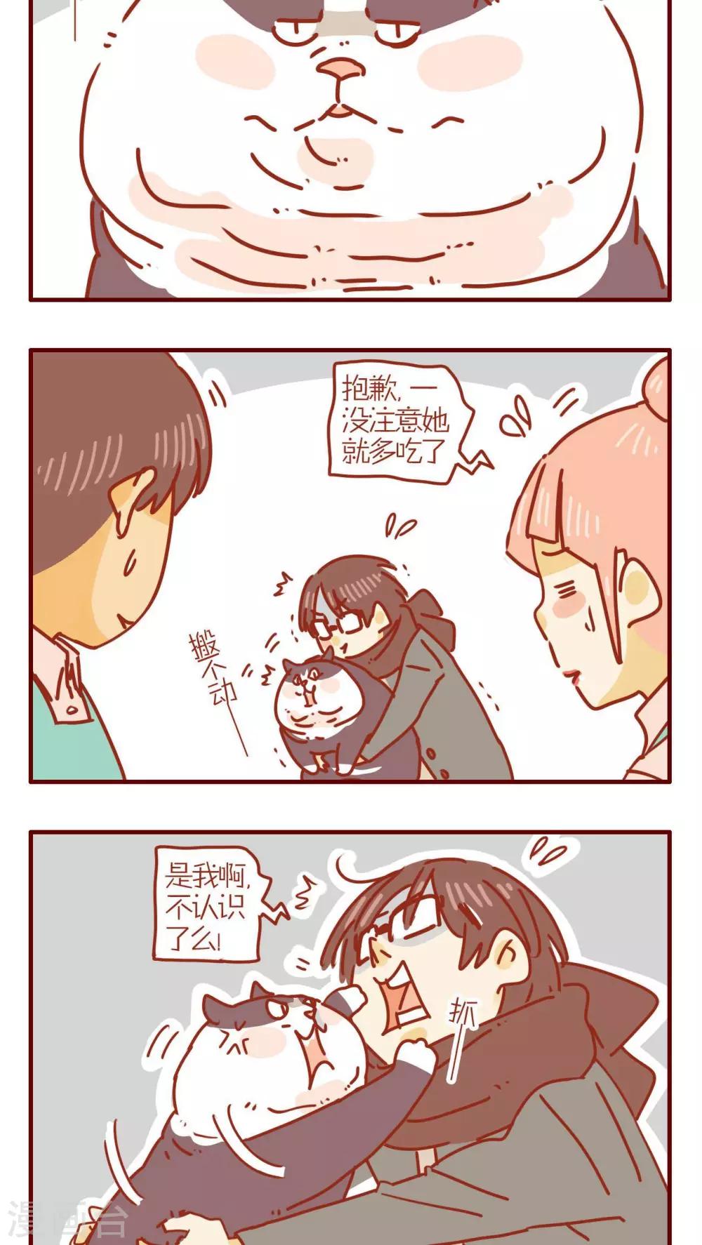 《猫咪甜品屋》第249话 第2页