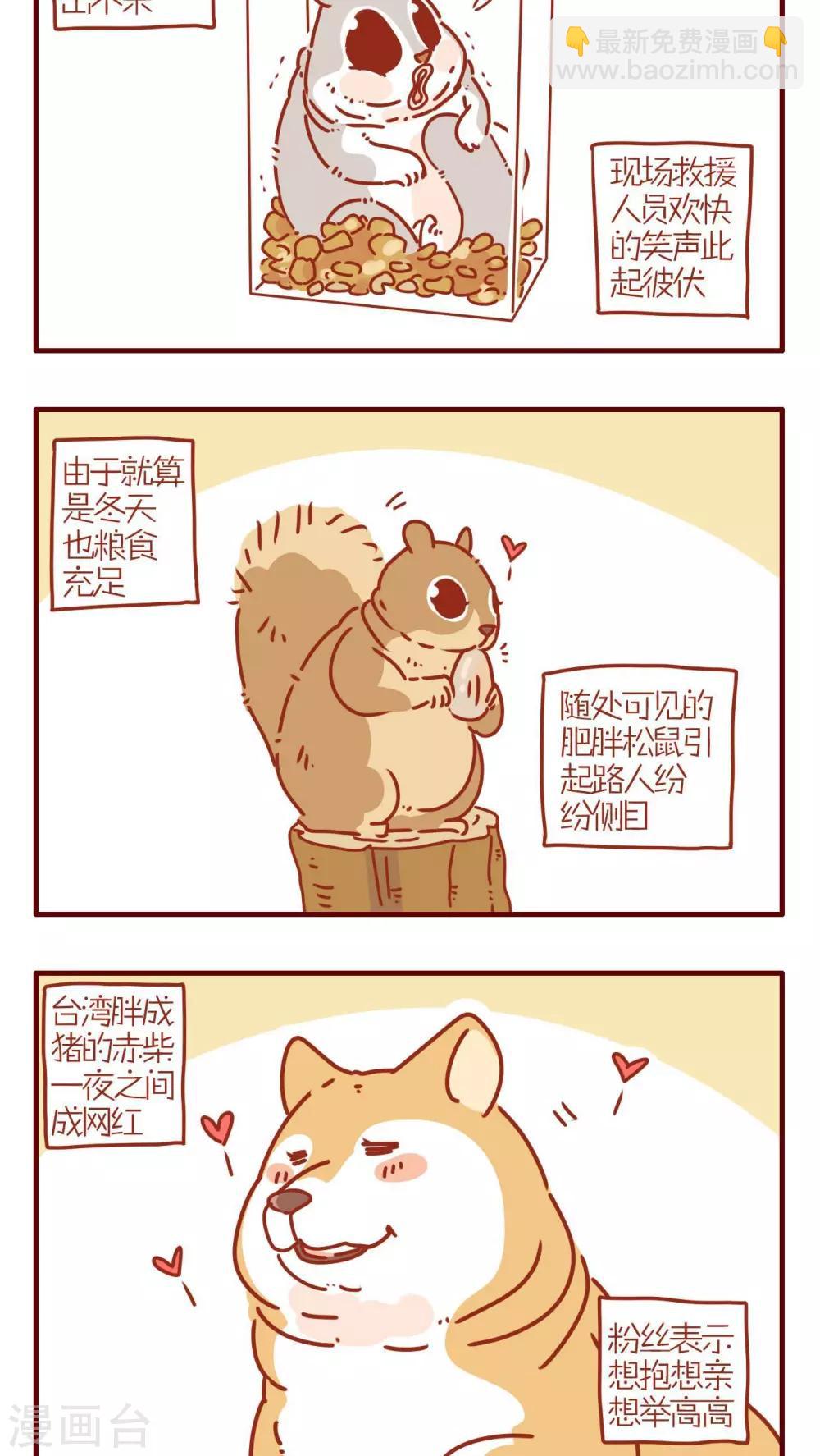 《猫咪甜品屋》第251话 第2页