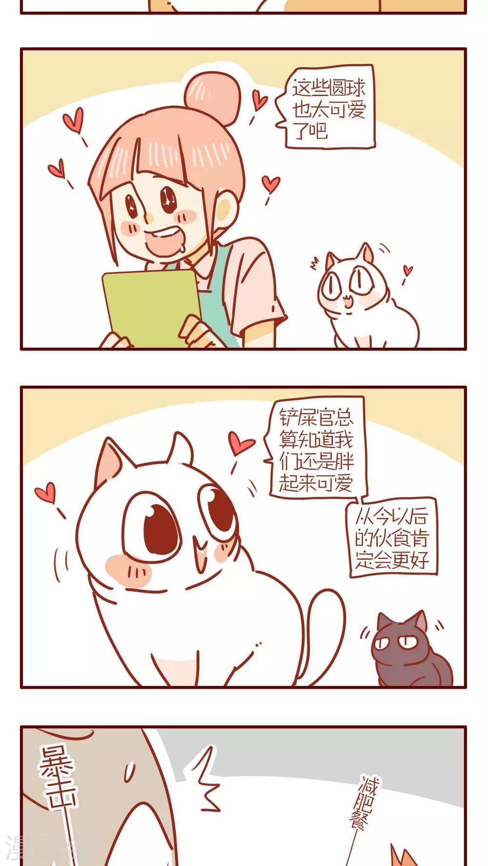 《猫咪甜品屋》第251话 第3页